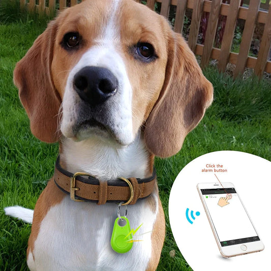 Pet Tracker™ | Förlora aldrig ditt älskade husdjur igen